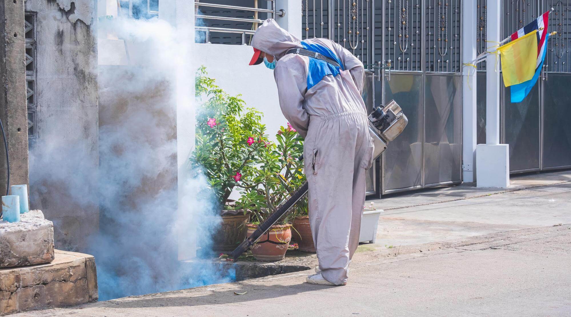 Fumigacja Opole Fumigacja Opole