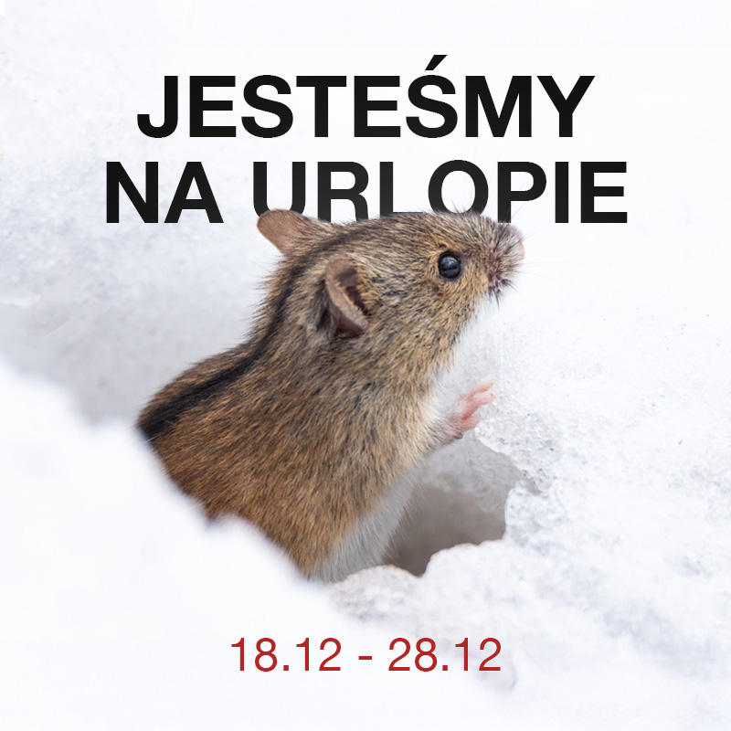 Przerwa świąteczna